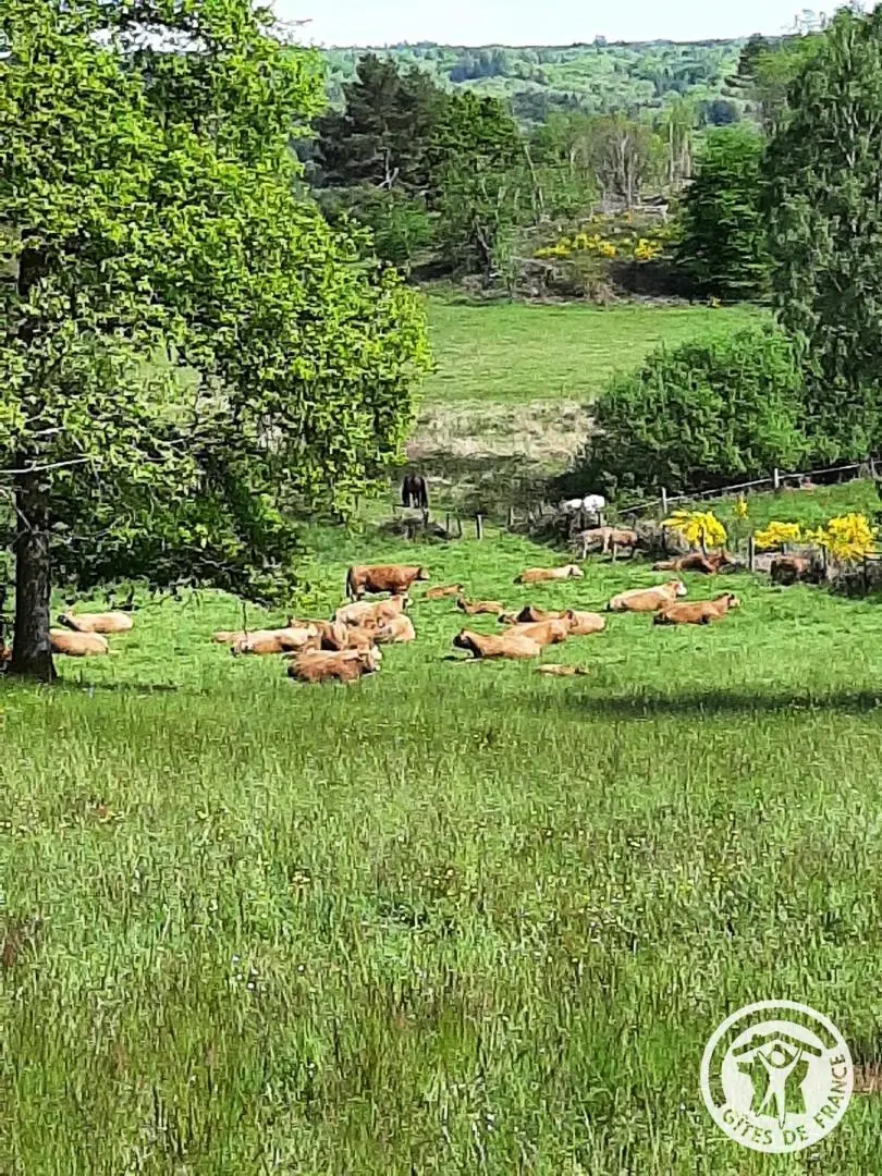 Gîte de France L'hyvernerie 3 oren