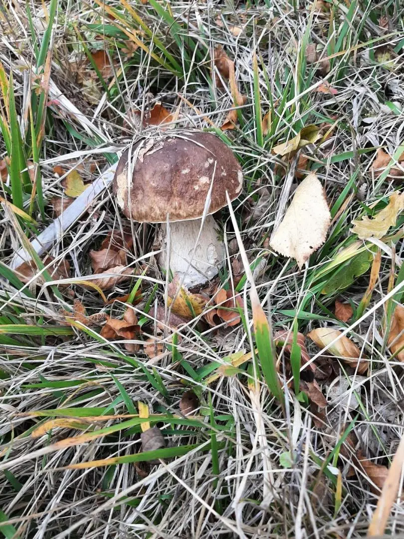 Gîte de France L'hyvernerie 3 oren