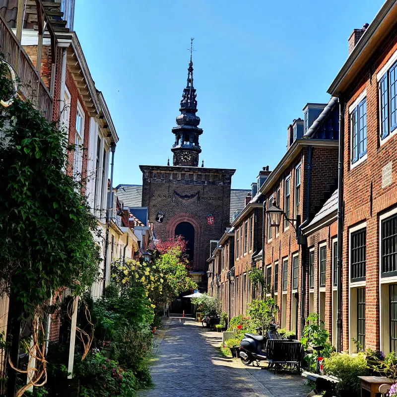 City Attic