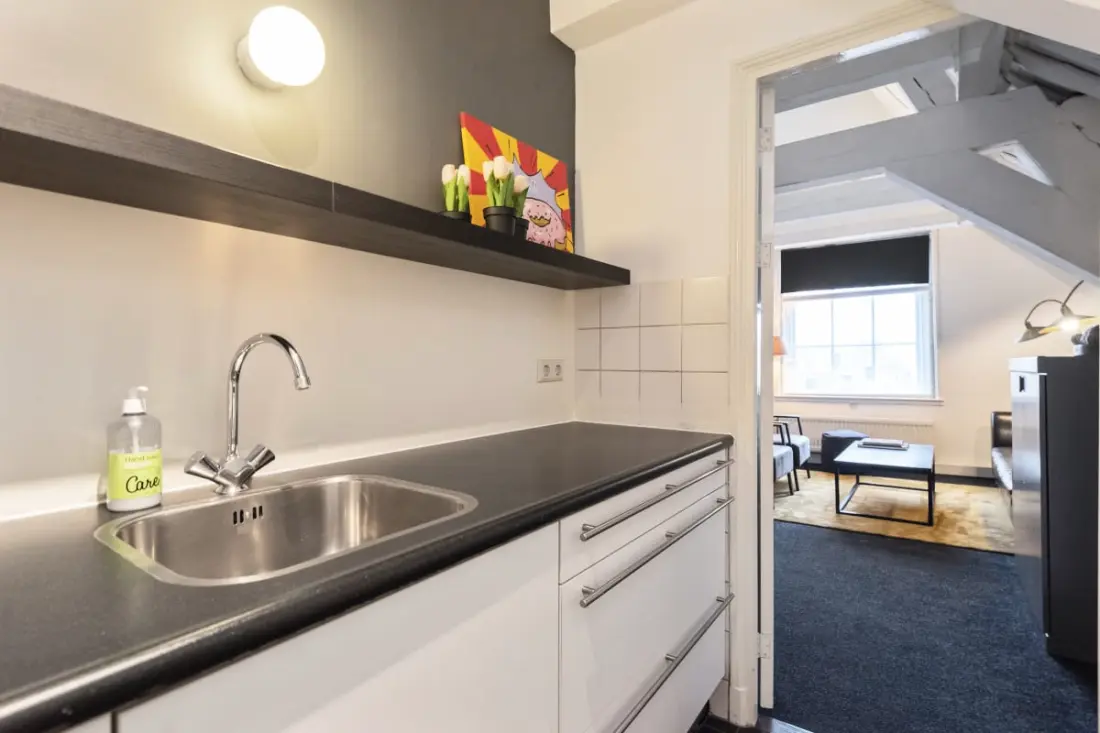 Spaarne Luxury Residence Haarlem
