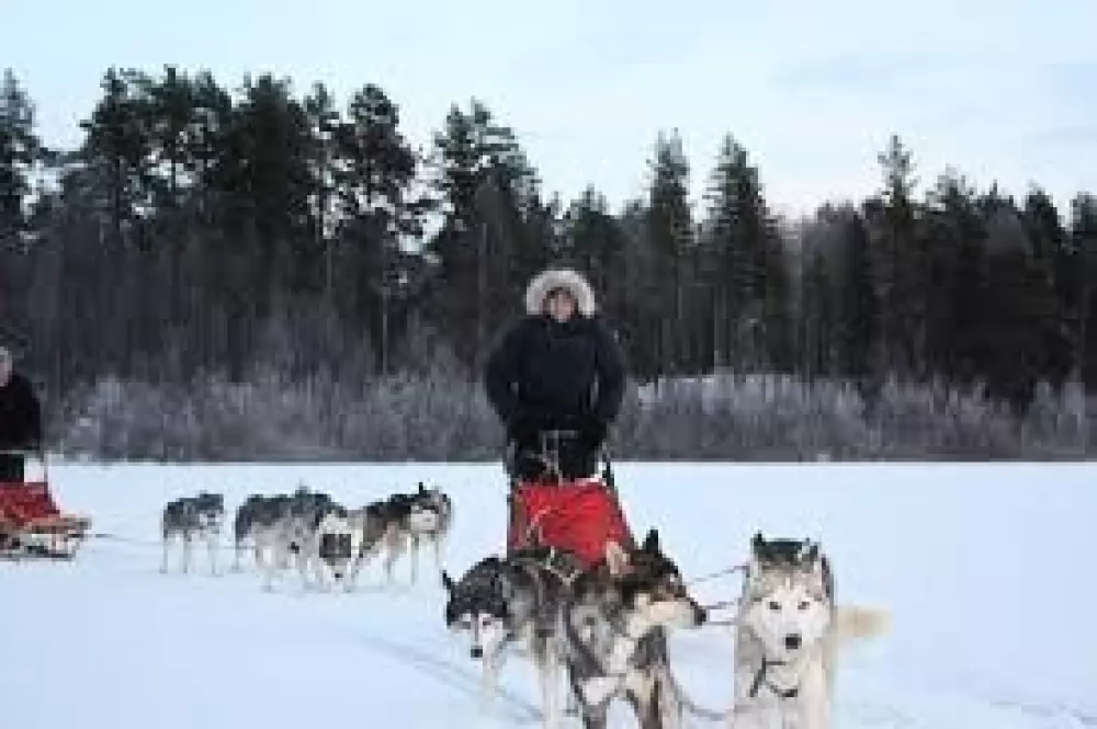 Hammarstrands Camping 4 Stars★★★★