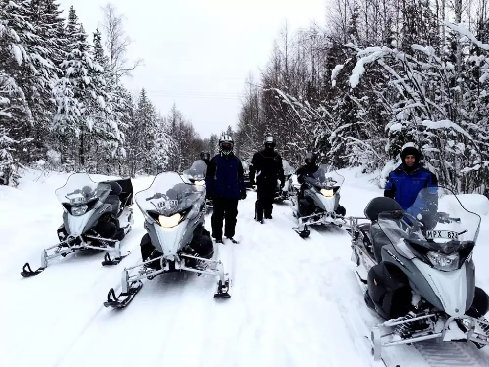 Hammarstrands Camping 4 Stars★★★★