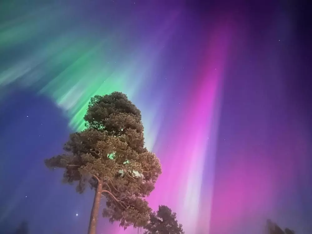 Hammarstrands Camping 4 Stars★★★★