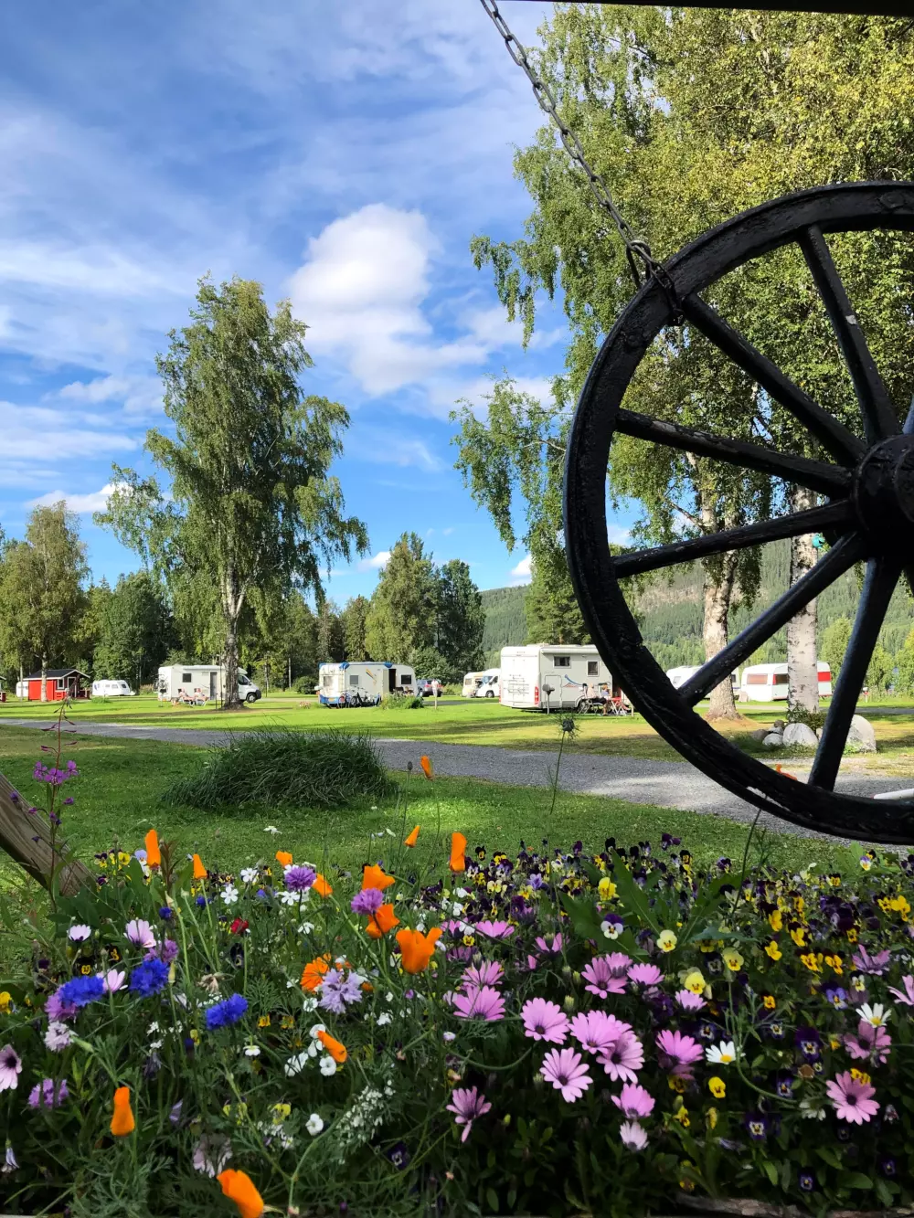 Hammarstrands Camping 4 Stars★★★★