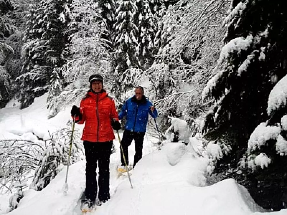 Hammarstrands Camping 4 Stars★★★★