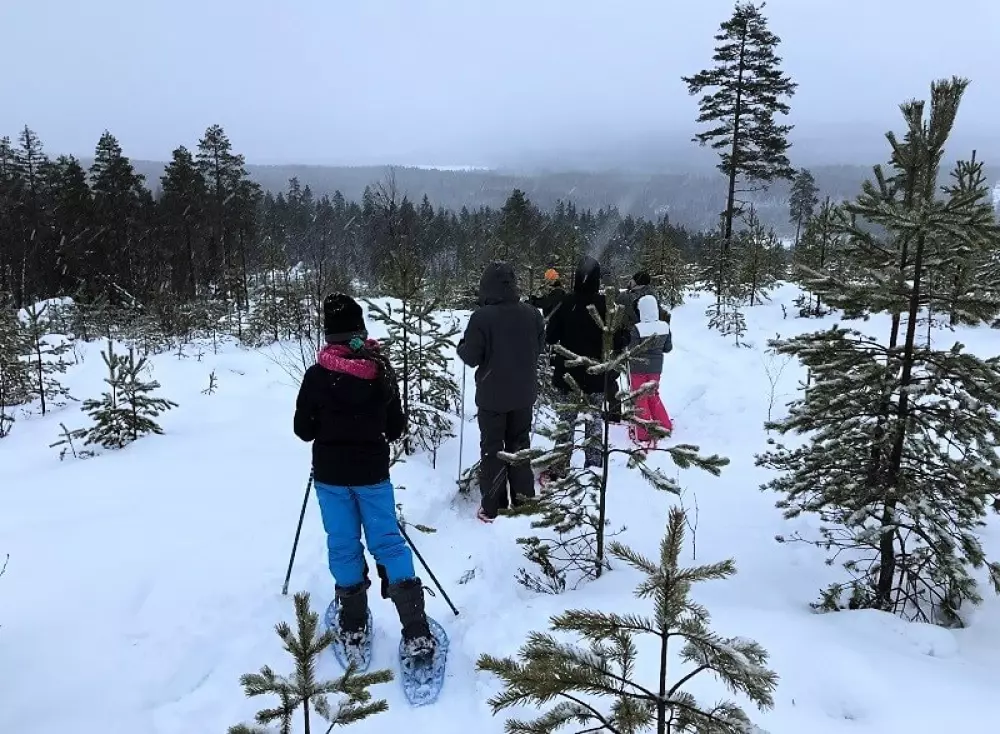 Hammarstrands Camping 4 Stars★★★★