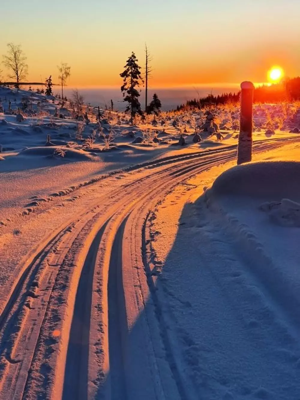 Hammarstrands Camping 4 Stars★★★★