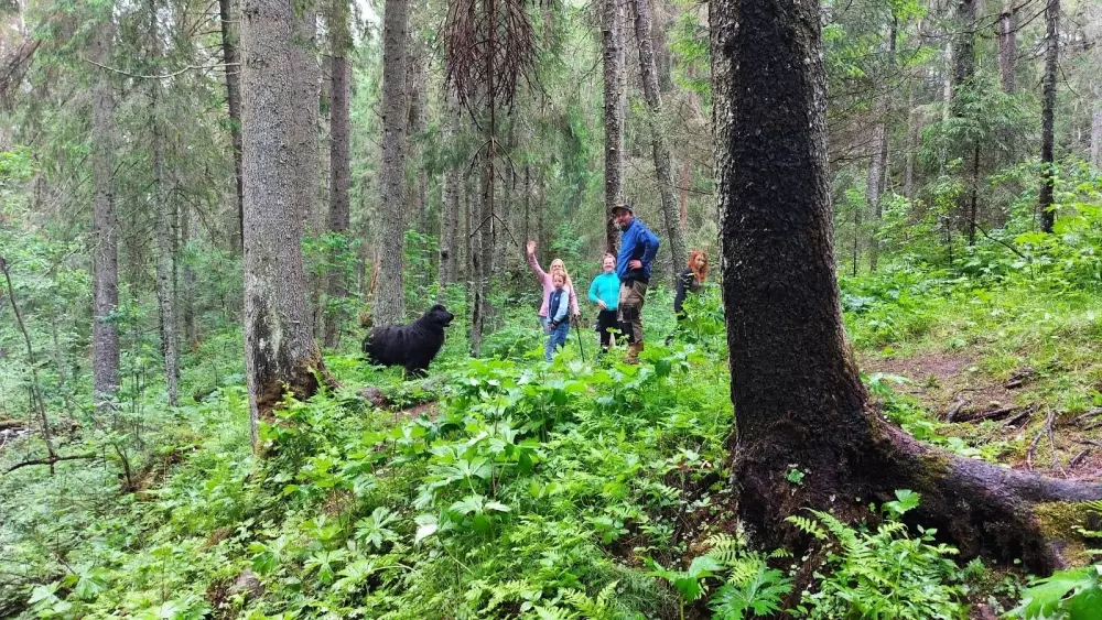 Hammarstrands Camping 4 Stars★★★★