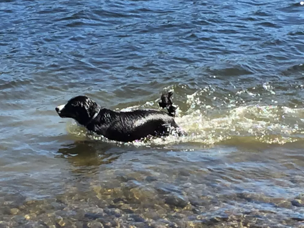 Hammarstrands Camping 4 Stars★★★★