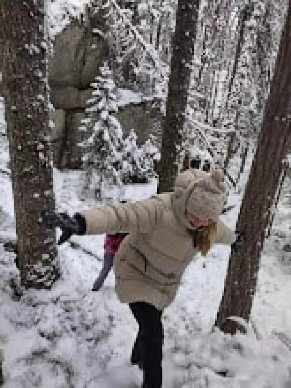 Hammarstrands Camping 4 Stars★★★★