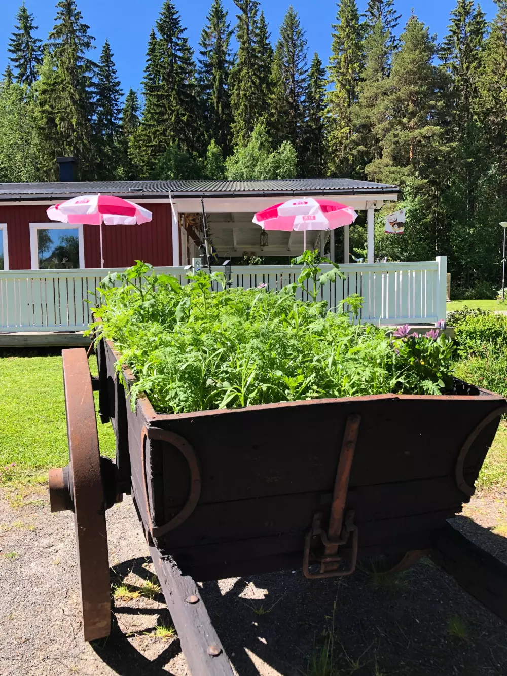 Hammarstrands Camping 4 Stars★★★★