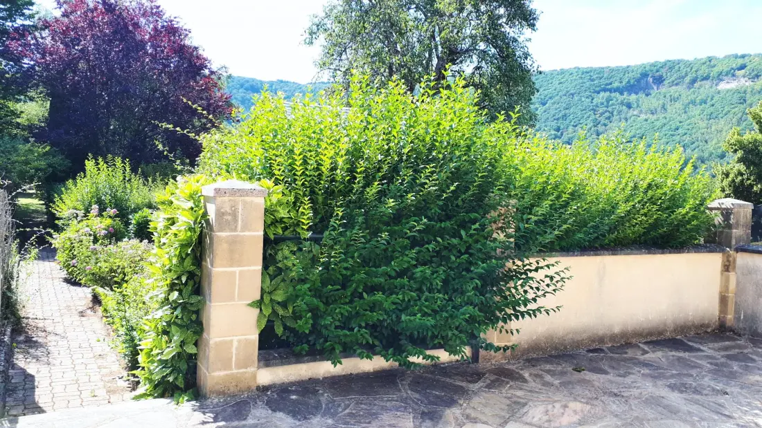 Gîte de France L’espÉrance 2 2 Ähren