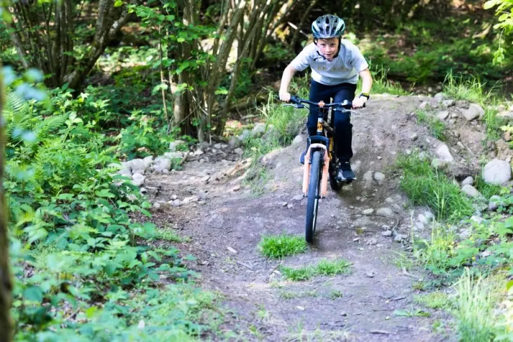 Domaine des Messires