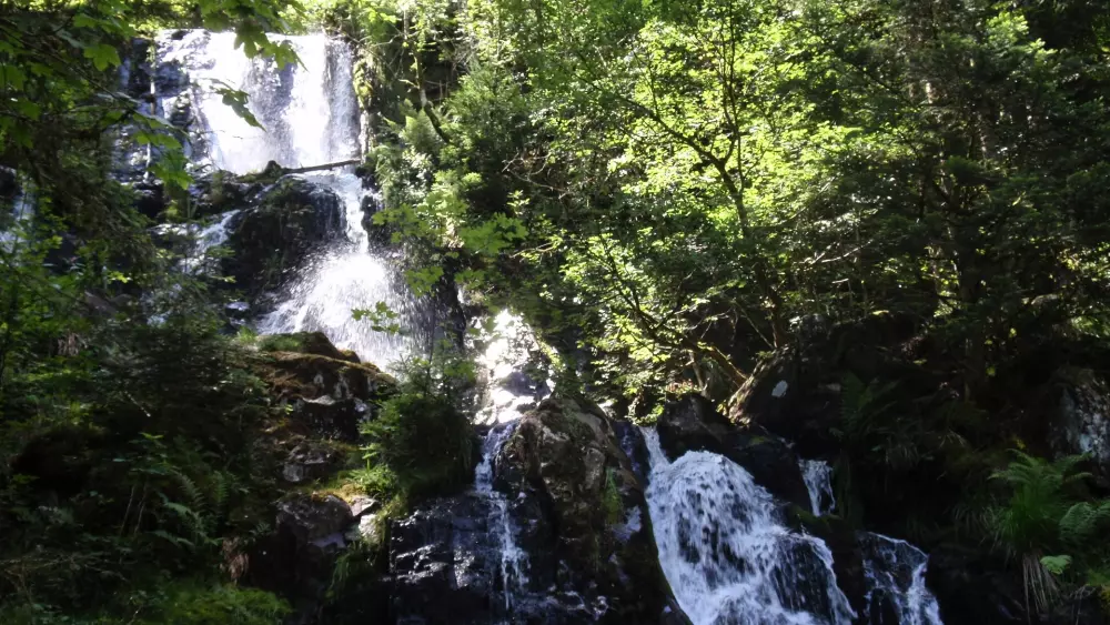 Domaine des Messires