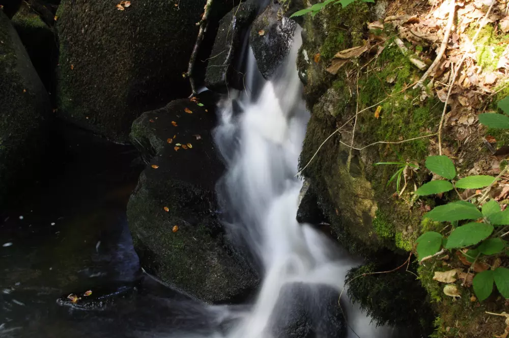 Camping La Rivière d'Argent 3 étoiles★★★