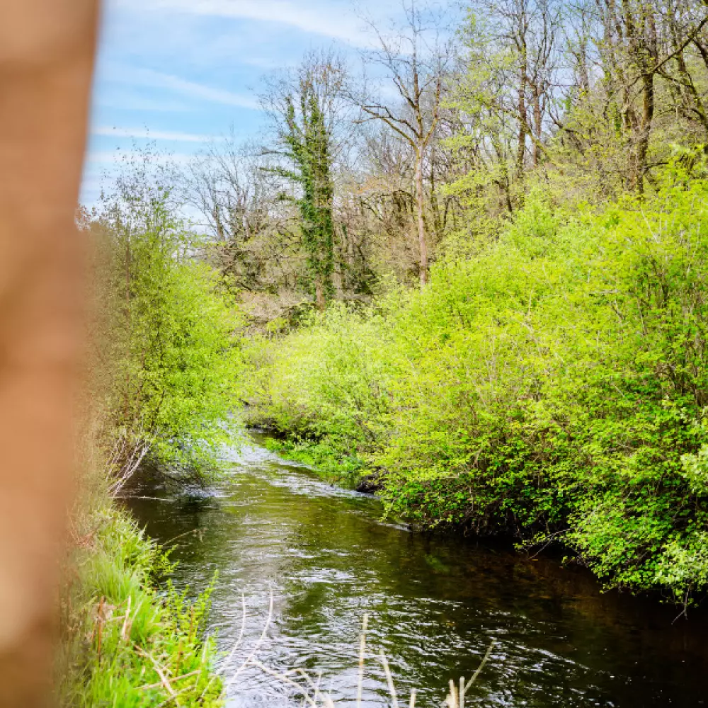 Camping La Rivière d'Argent 3 étoiles★★★