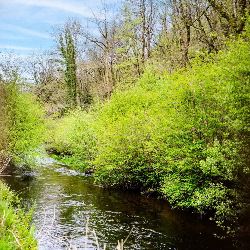 Camping La Rivière d'Argent 3 étoiles★★★