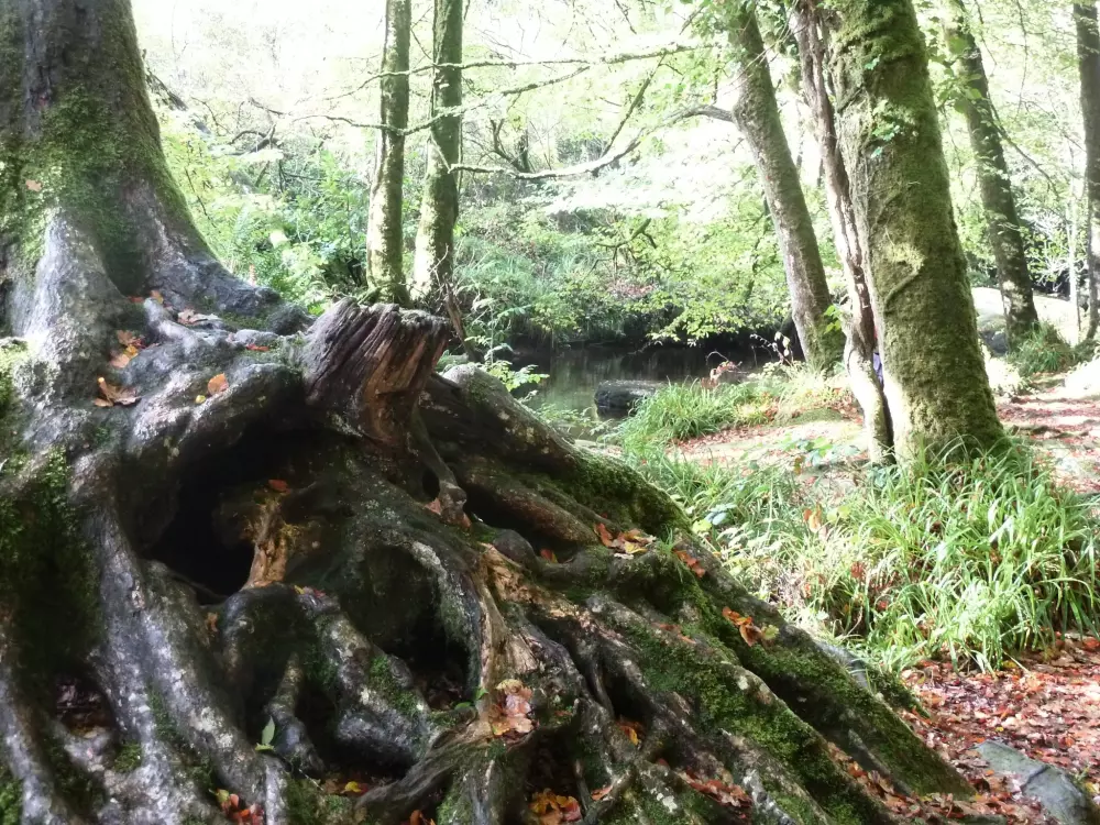 Camping La Rivière d'Argent 3 étoiles★★★