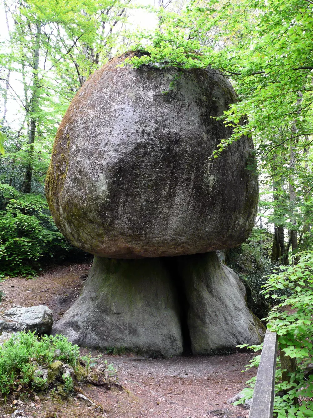 Camping La Rivière d'Argent 3 étoiles★★★