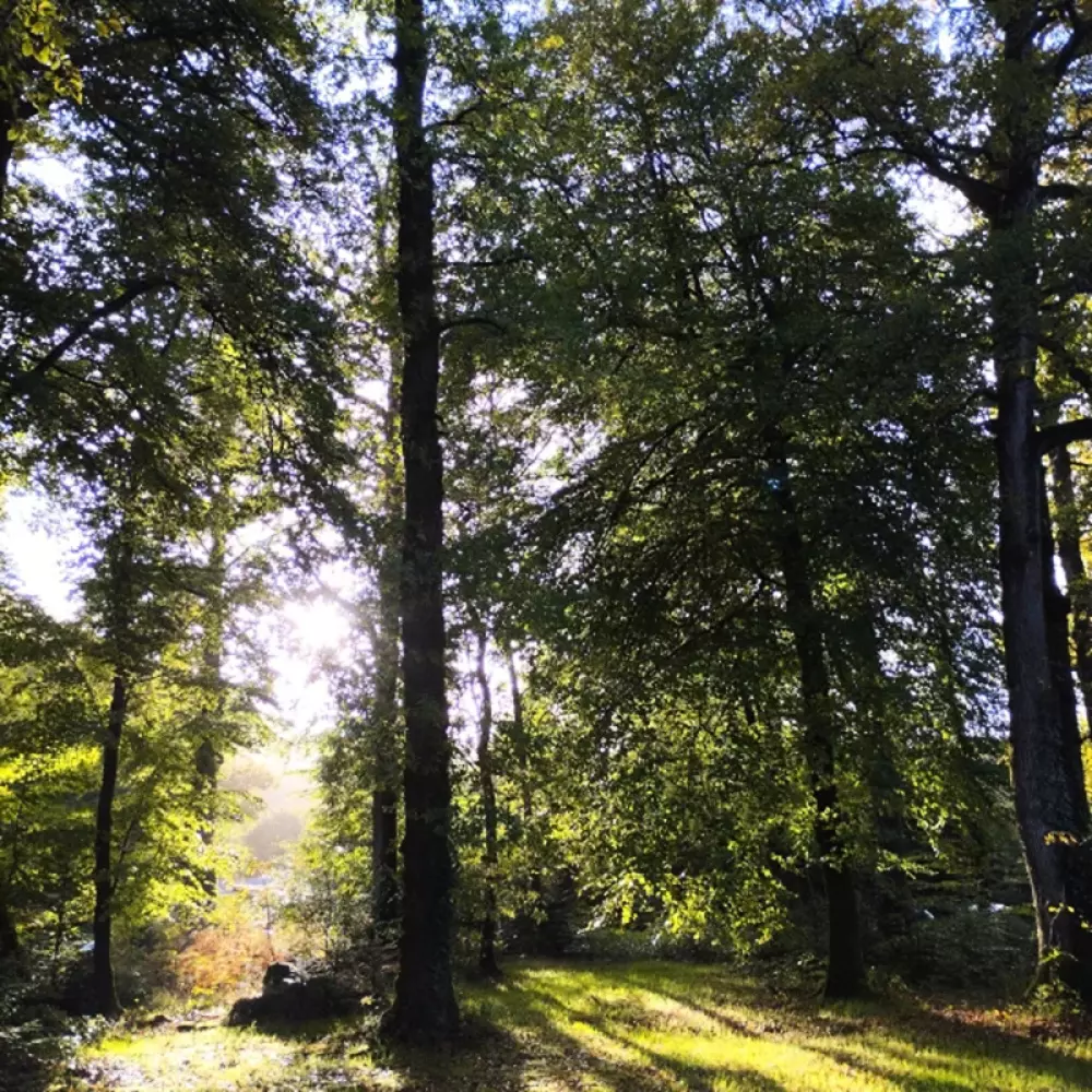 Camping La Rivière d'Argent 3 étoiles★★★