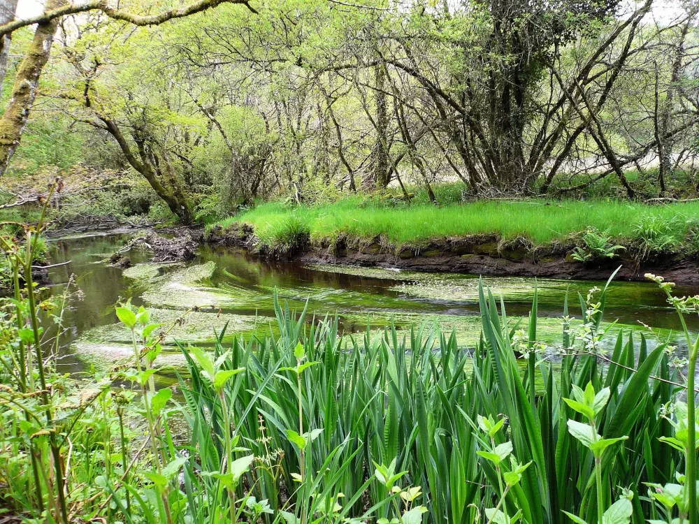 Camping La Rivière d'Argent 3 étoiles★★★