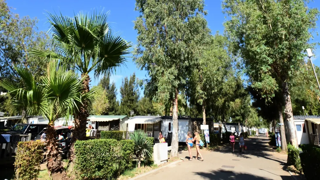 Camping Tikayan Les Palmiers4 Sterren★★★★