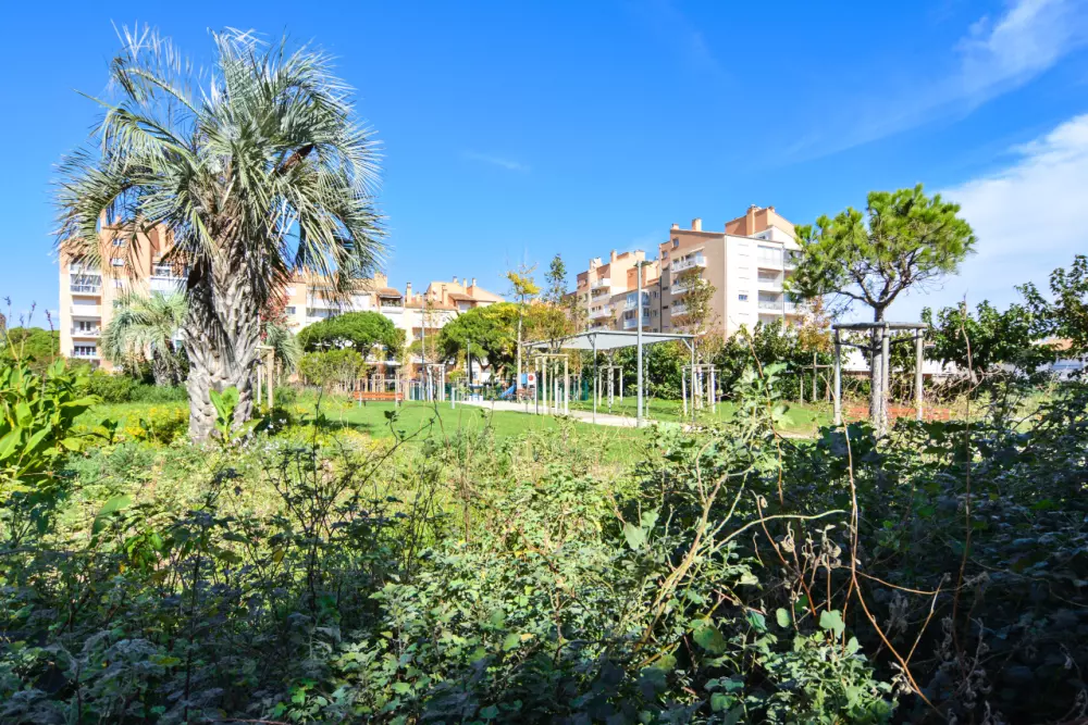 Hyeres Parc - maeva Home