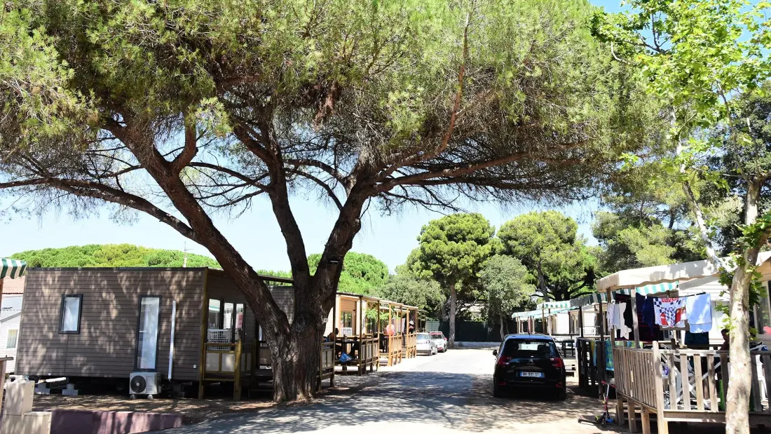 Camping Tikayan Le Méditerranée 3 Sterren★★★