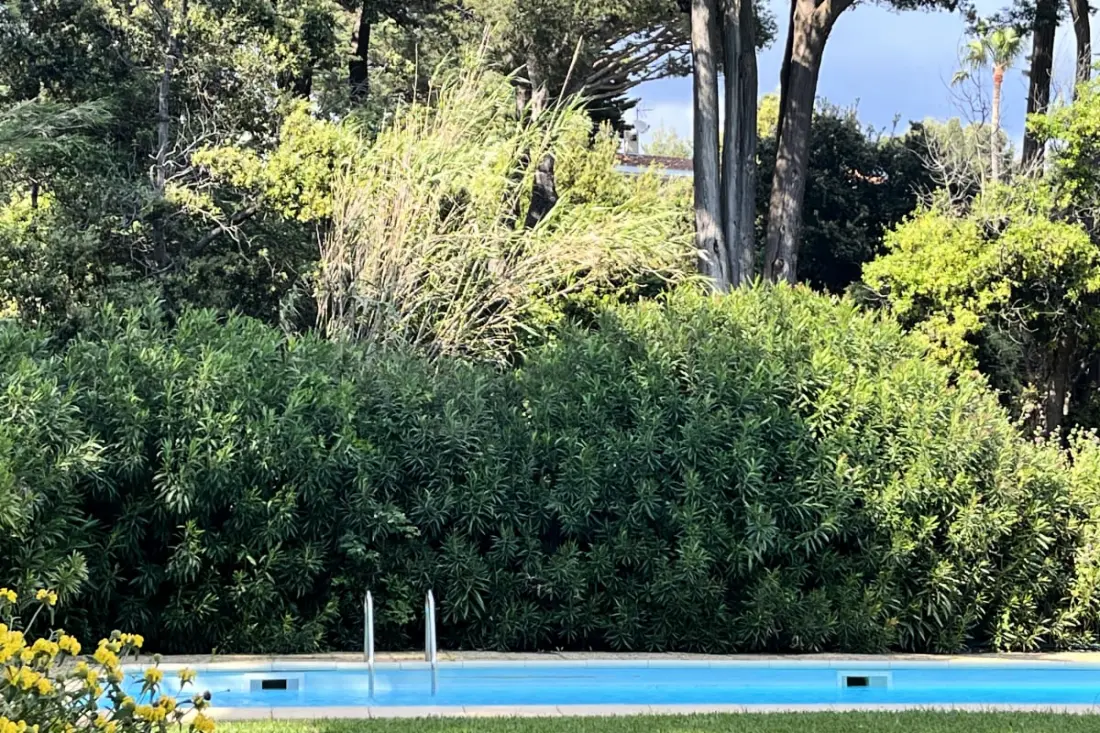 Villa "moana" láb A víz-közeli Giens-sziget