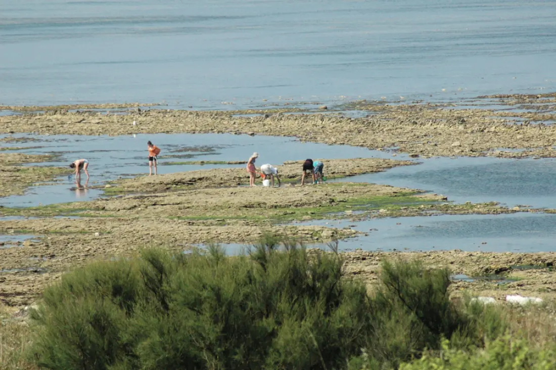 Camping Le Suroit 4 Sterren★★★★