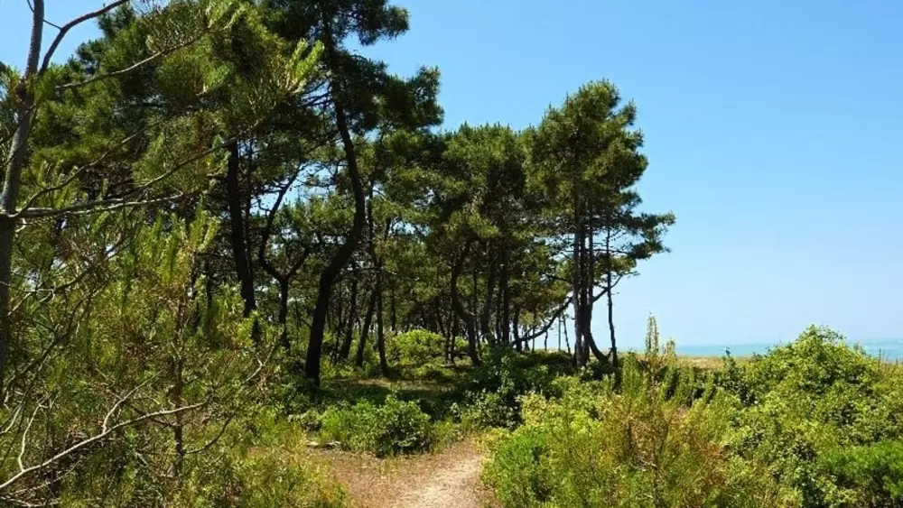 Camping Le Suroit 4 Sterren★★★★