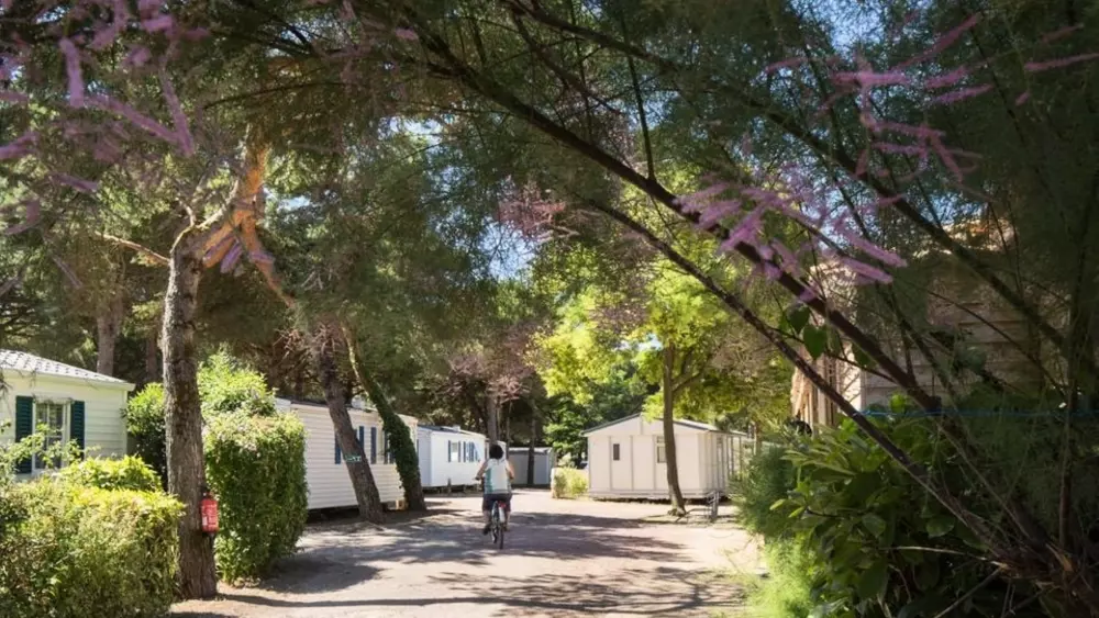 Camping Le Suroit 4 Sterren★★★★