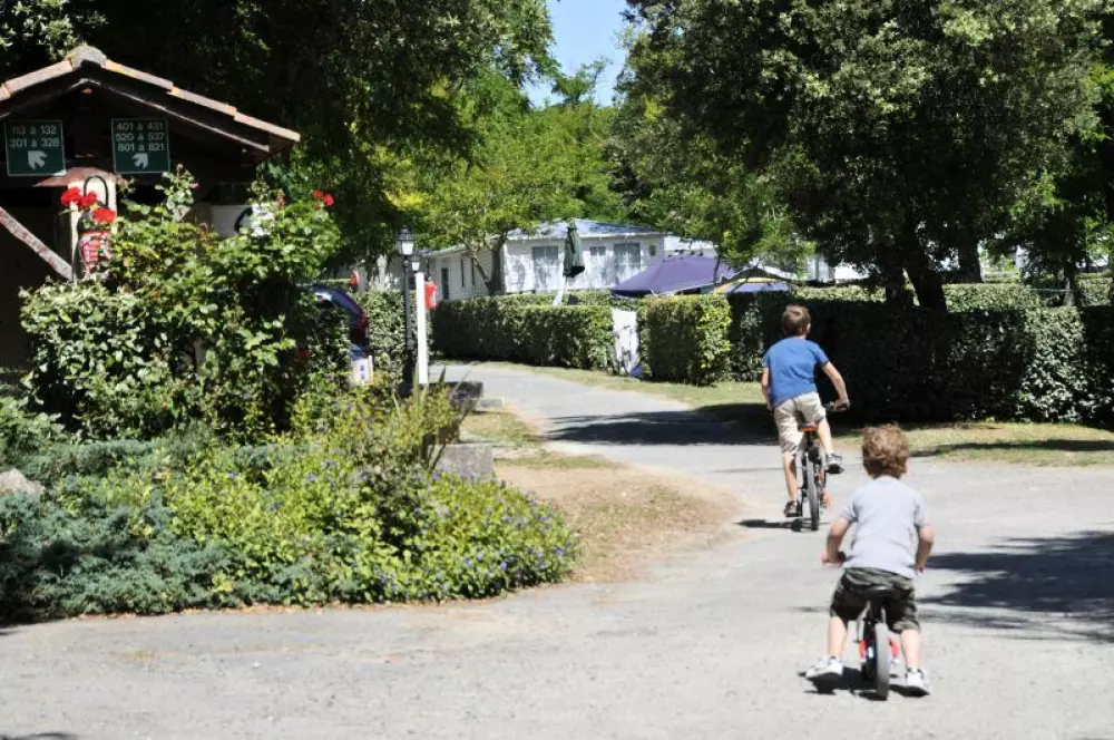 Campsite Les Gros Joncs 4 Stars★★★★