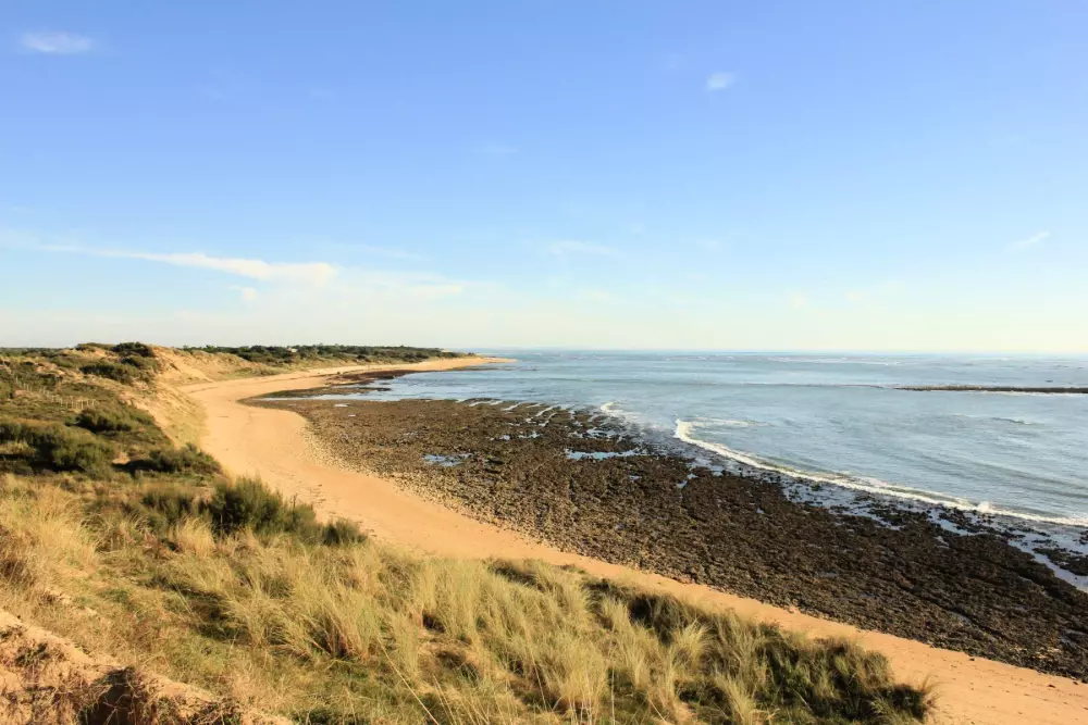 Campsite Les Gros Joncs 4 Stars★★★★