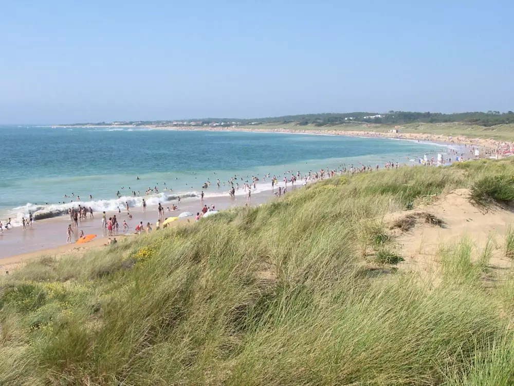 Campsite Les Gros Joncs 4 Stars★★★★