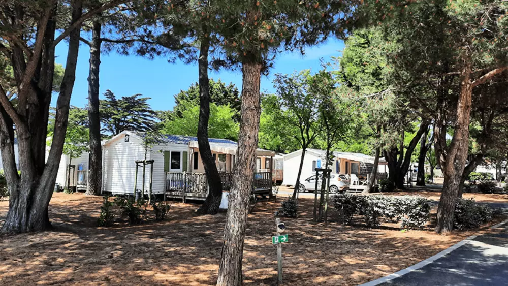 Camping Antioche 4 Sterren★★★★