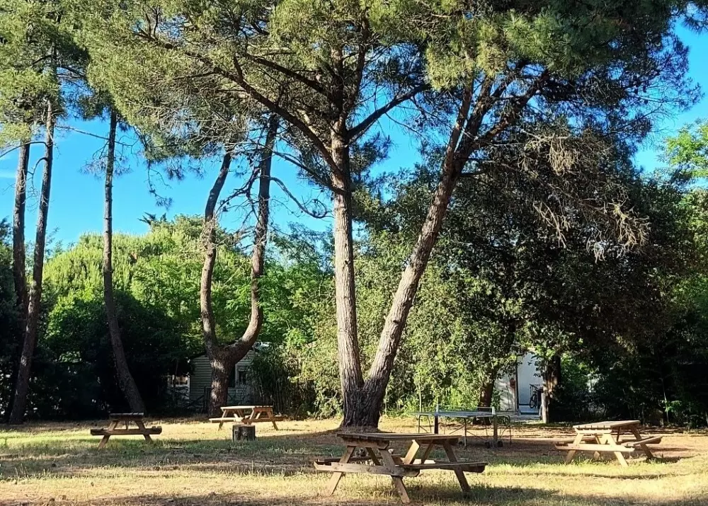 Campsite Les Fougères 4 Stars★★★★