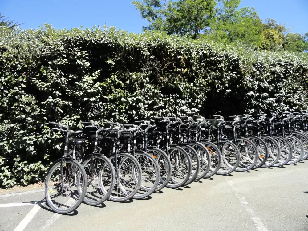 Campsite Les Fougères 4 Stars★★★★