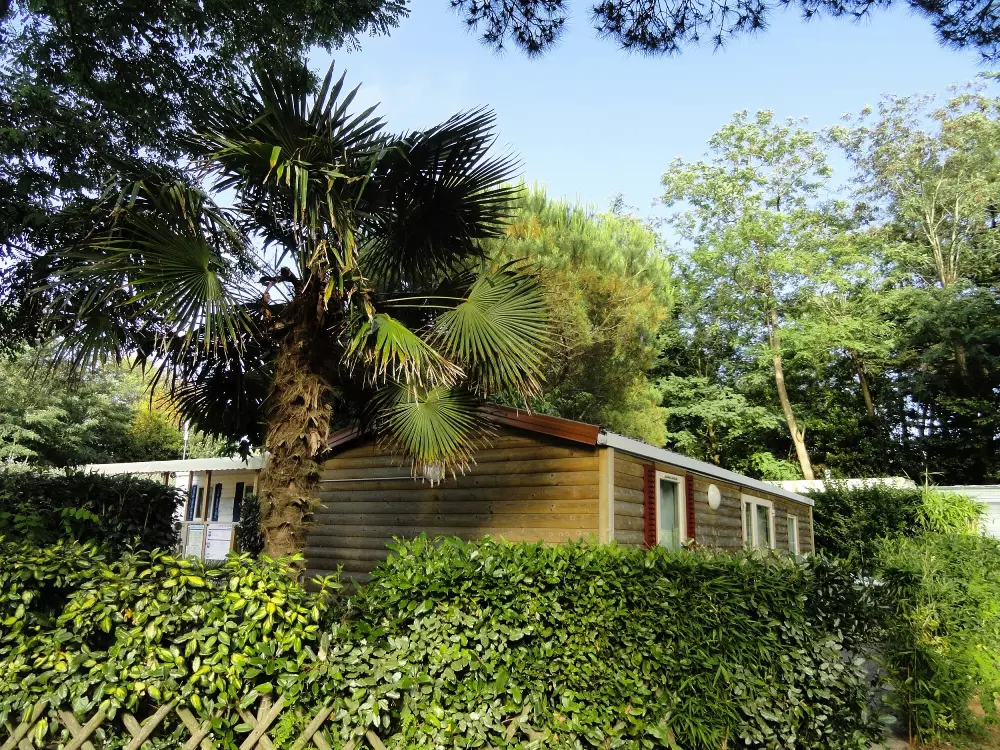 Campsite Les Fougères 4 Stars★★★★