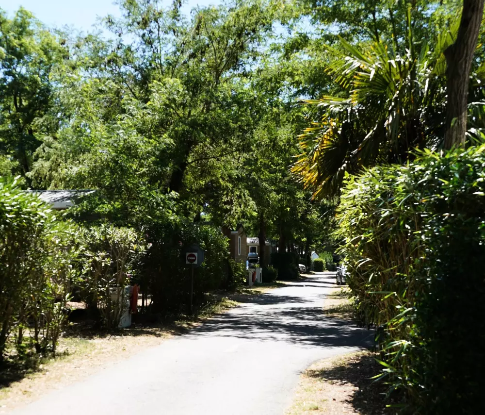 Campsite Les Fougères 4 Stars★★★★