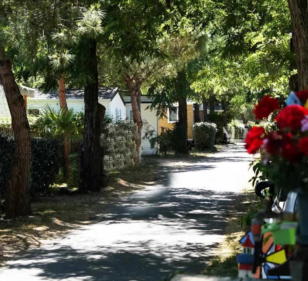 Campsite Les Fougères 4 Stars★★★★