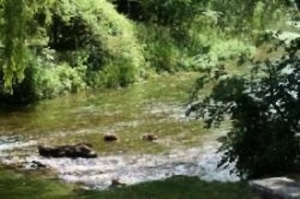 Camping Le Bois Fleuri 3 étoiles★★★