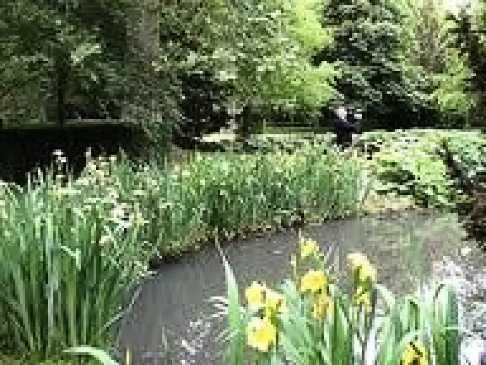 Camping Le Bois Fleuri 3 étoiles★★★