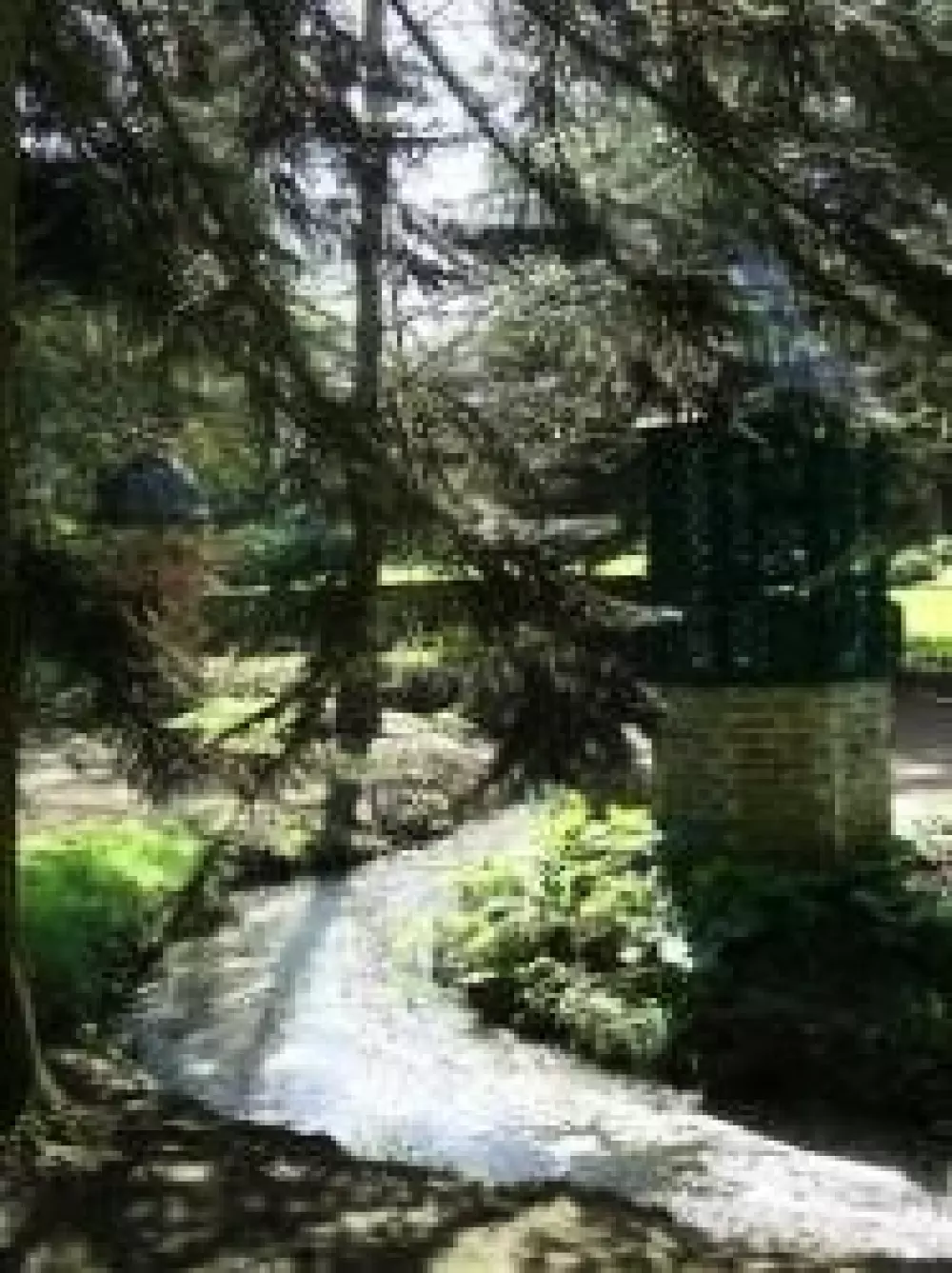 Camping Le Bois Fleuri 3 étoiles★★★