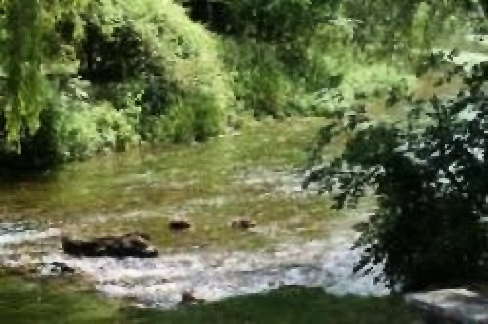 Camping Le Bois Fleuri 3 étoiles★★★