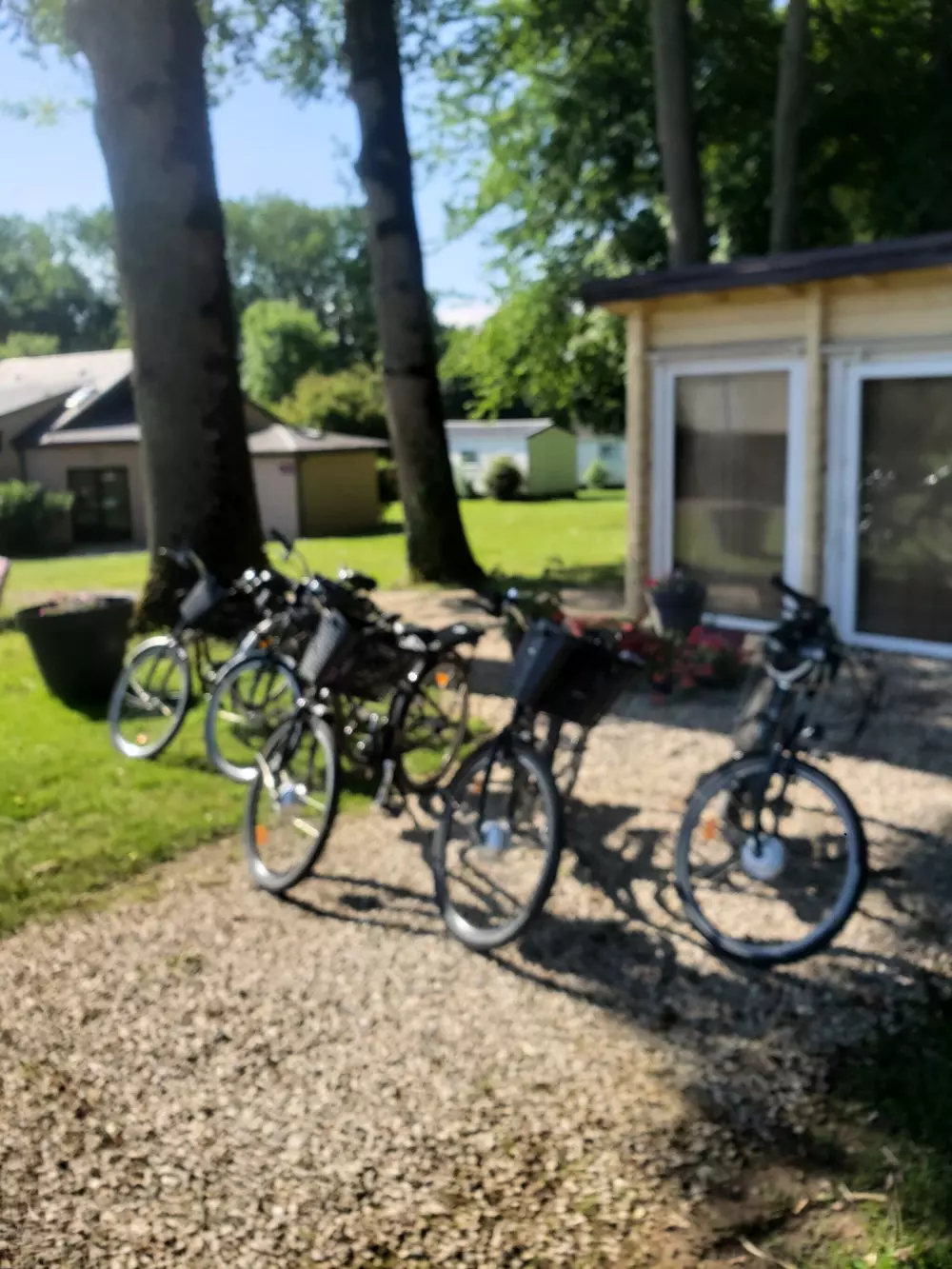 Camping Le Bois Fleuri 3 étoiles★★★