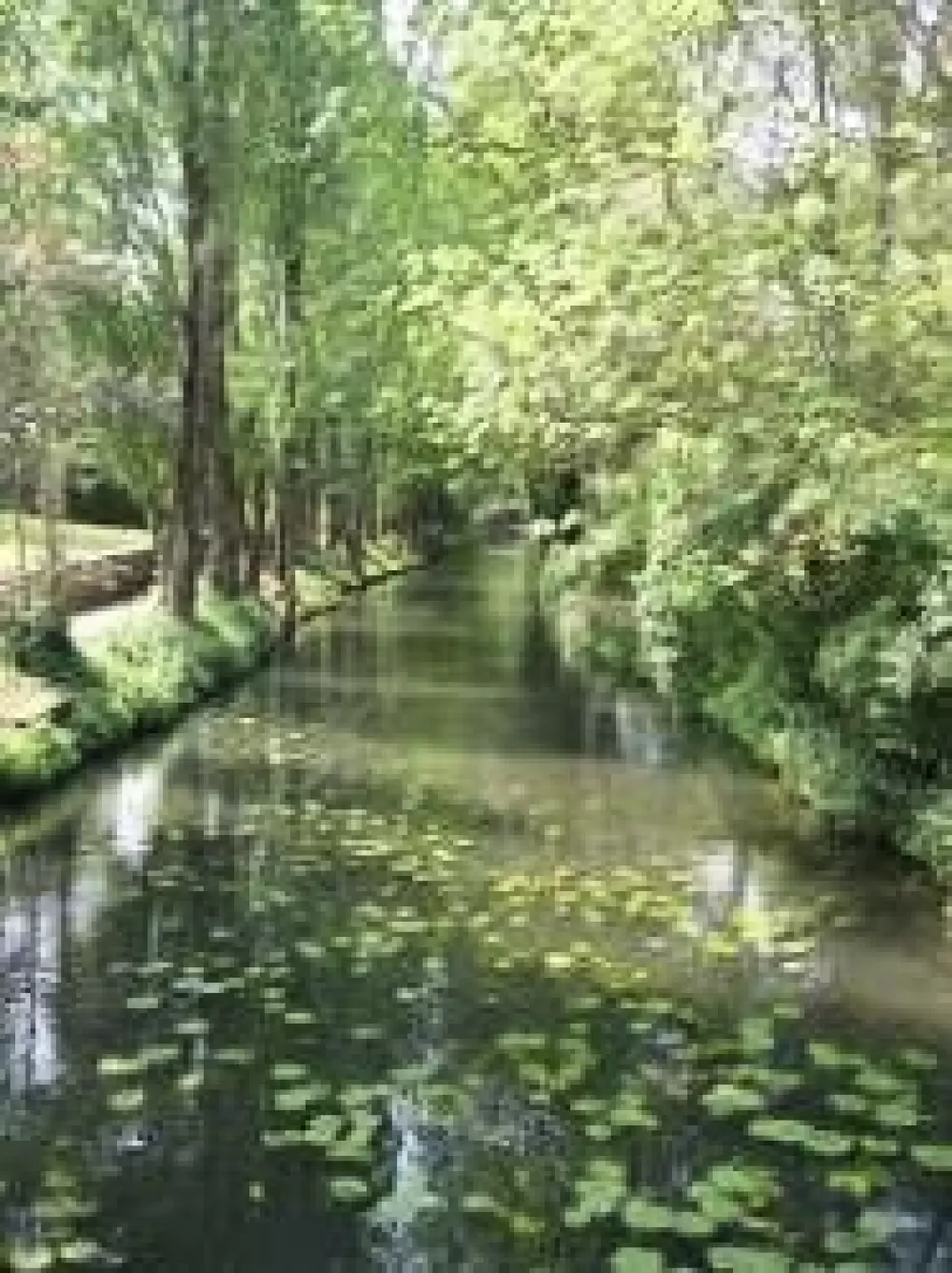 Camping Le Bois Fleuri 3 étoiles★★★