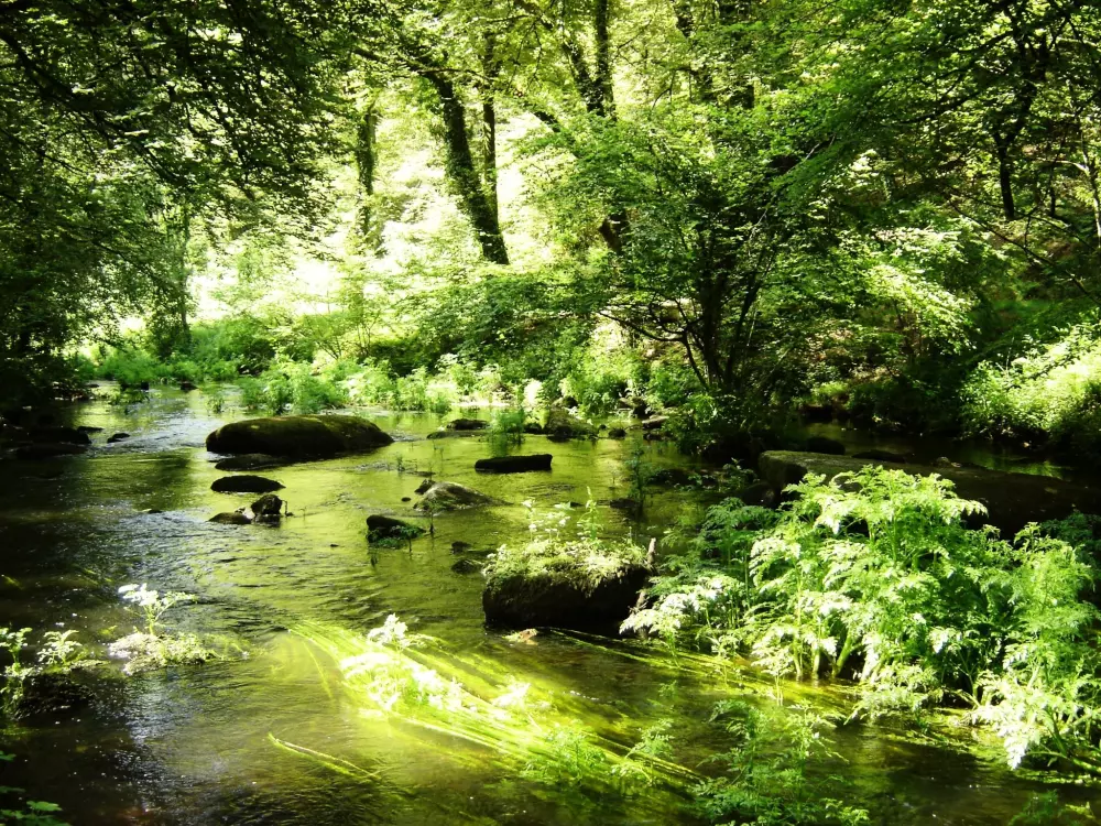 Ushuaïa Villages - Camping de Pont Calleck 3 étoiles★★★