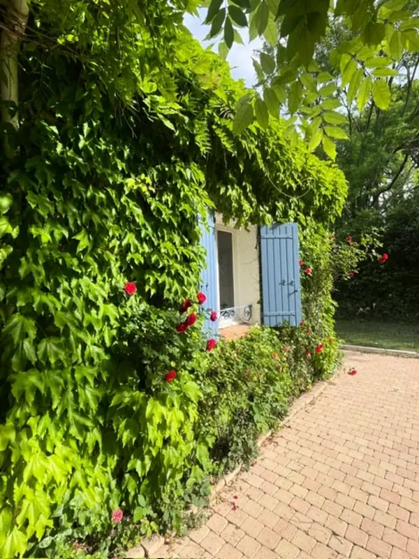 Bastide Azzura - Private pool