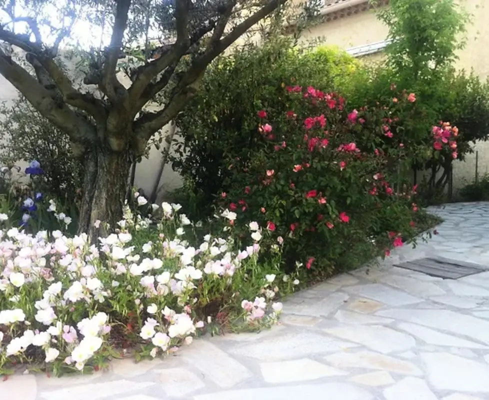 La Maison Rose - Private pool közel városközpont